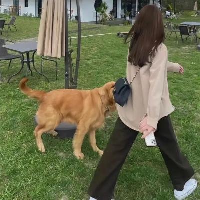 易普症